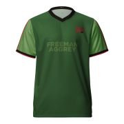 Mfantsipim@150 Double layered V-neck Freeman Aggrey House Colour T-shirt (Limited Edition)
