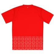 Mfantsipim@150 Ladies MVP V-neck Jersey